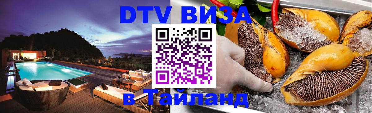 Оформление DTV визы под ключ: стоимость и тарифы, только загранпаспорт - 19.11.2025 
